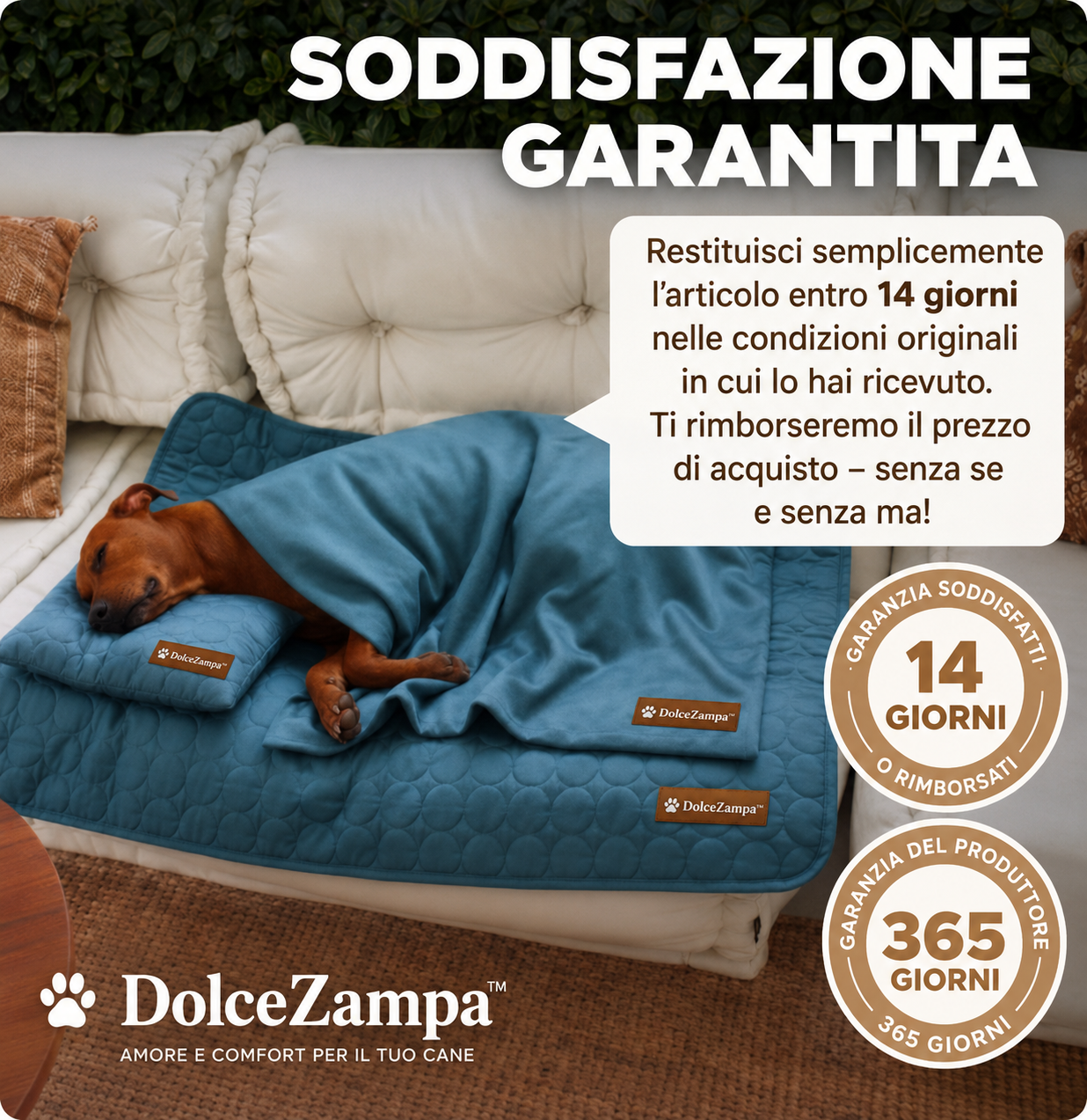 DolceZampa™ Bundle