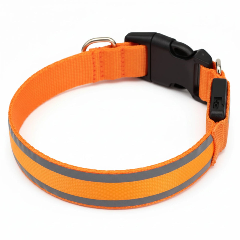 ZeroTiro™ Collare Luminoso