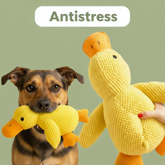 ZenDuck™ - Anatra antistress