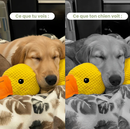 ZenDuck™ - Anatra antistress