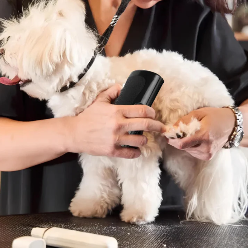 La spazzola magica per il tuo cane