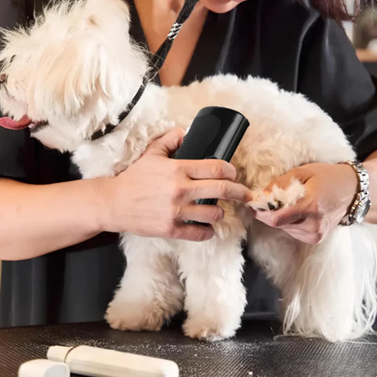 La spazzola magica per il tuo cane