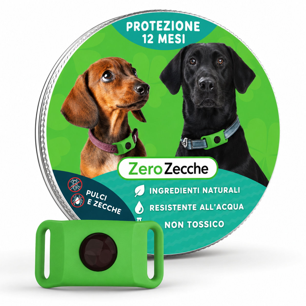 ZeroZecche