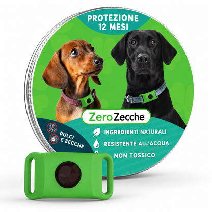 ZeroZecche