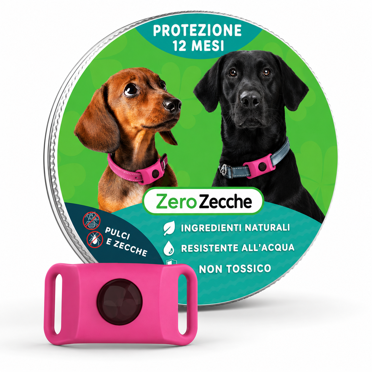 ZeroZecche
