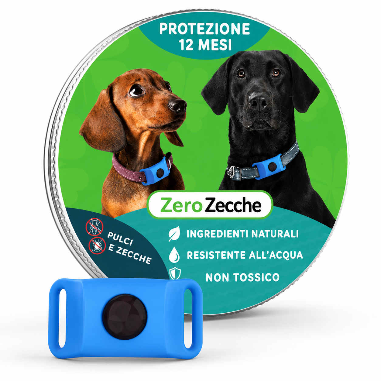 ZeroZecche