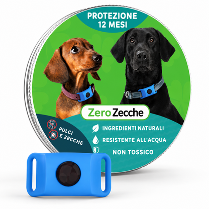 ZeroZecche