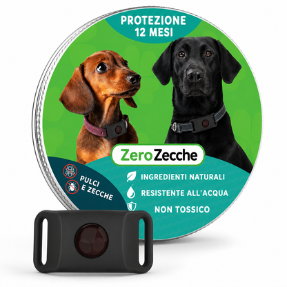 ZeroZecche