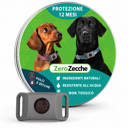 ZeroZecche
