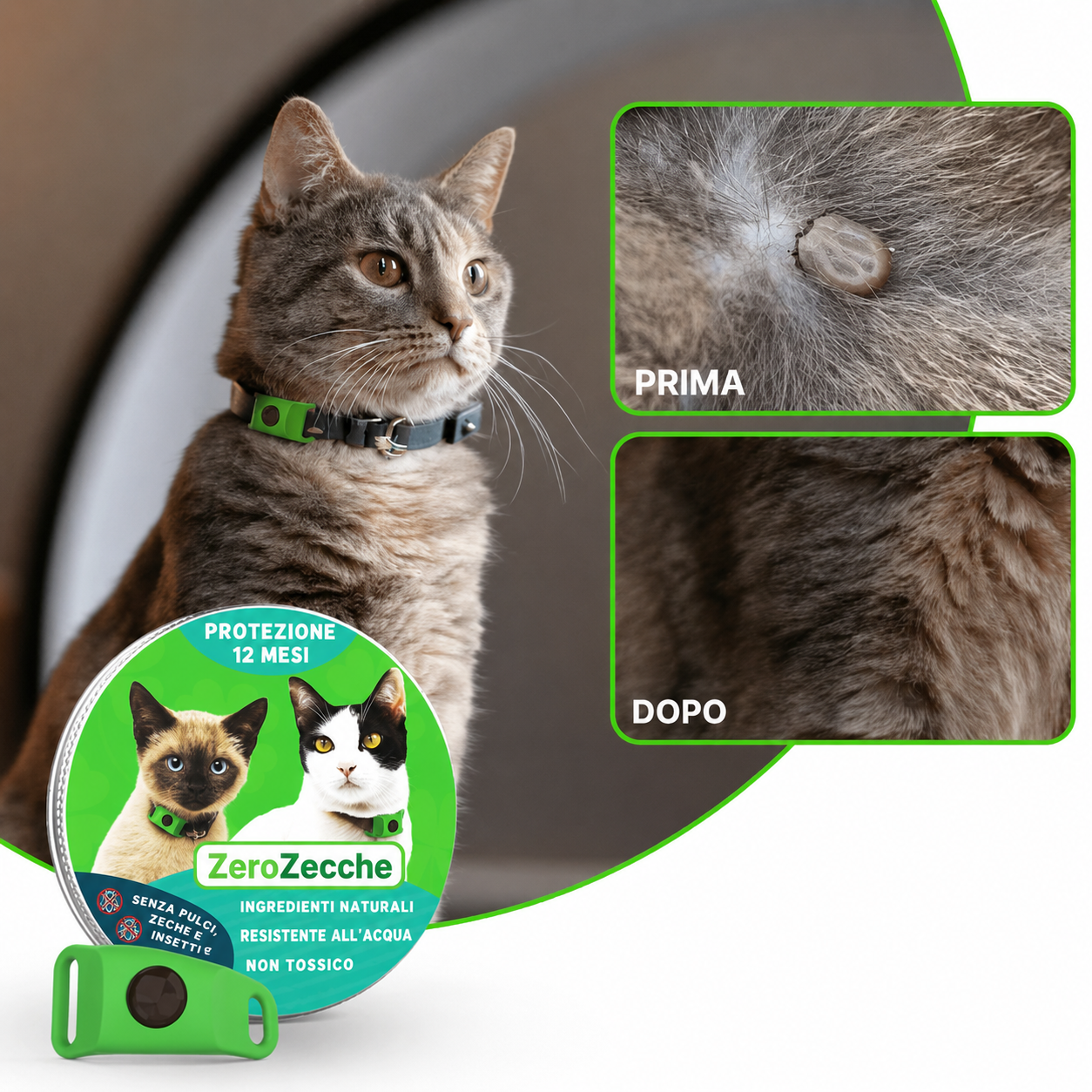 ZeroZecche Gatto