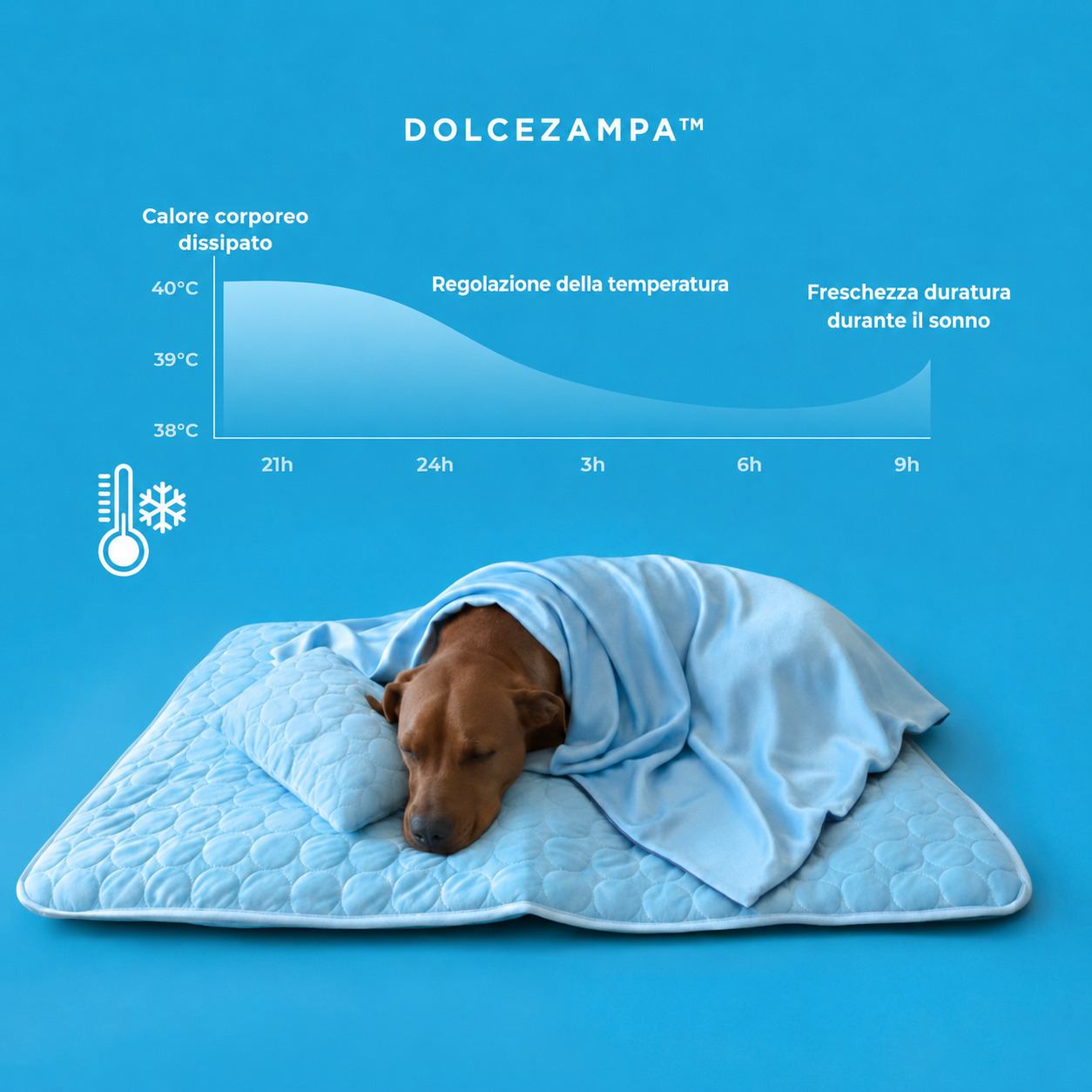 DolceZampa™ Bundle