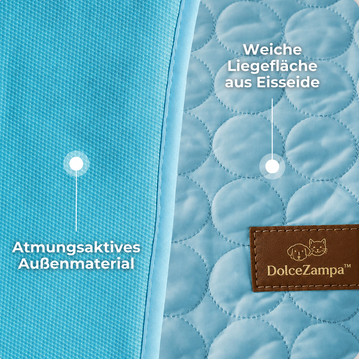 DolceZampa™ Bundle