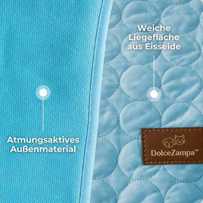 DolceZampa™ Bundle