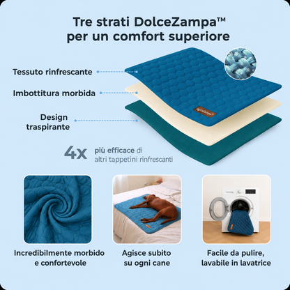 DolceZampa™ Bundle