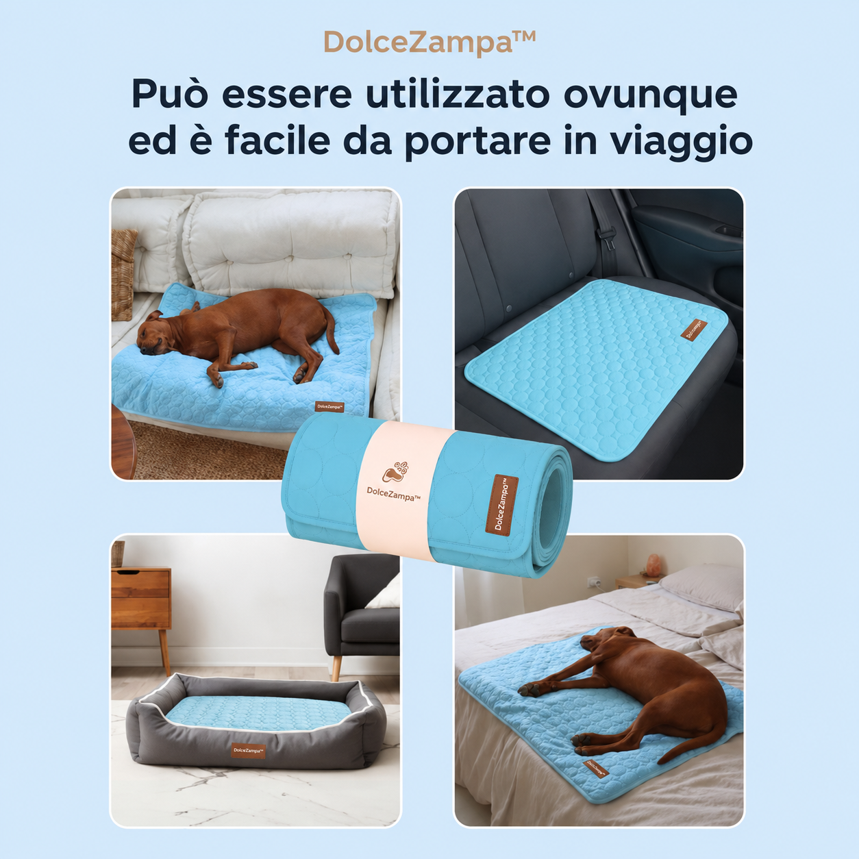 DolceZampa™