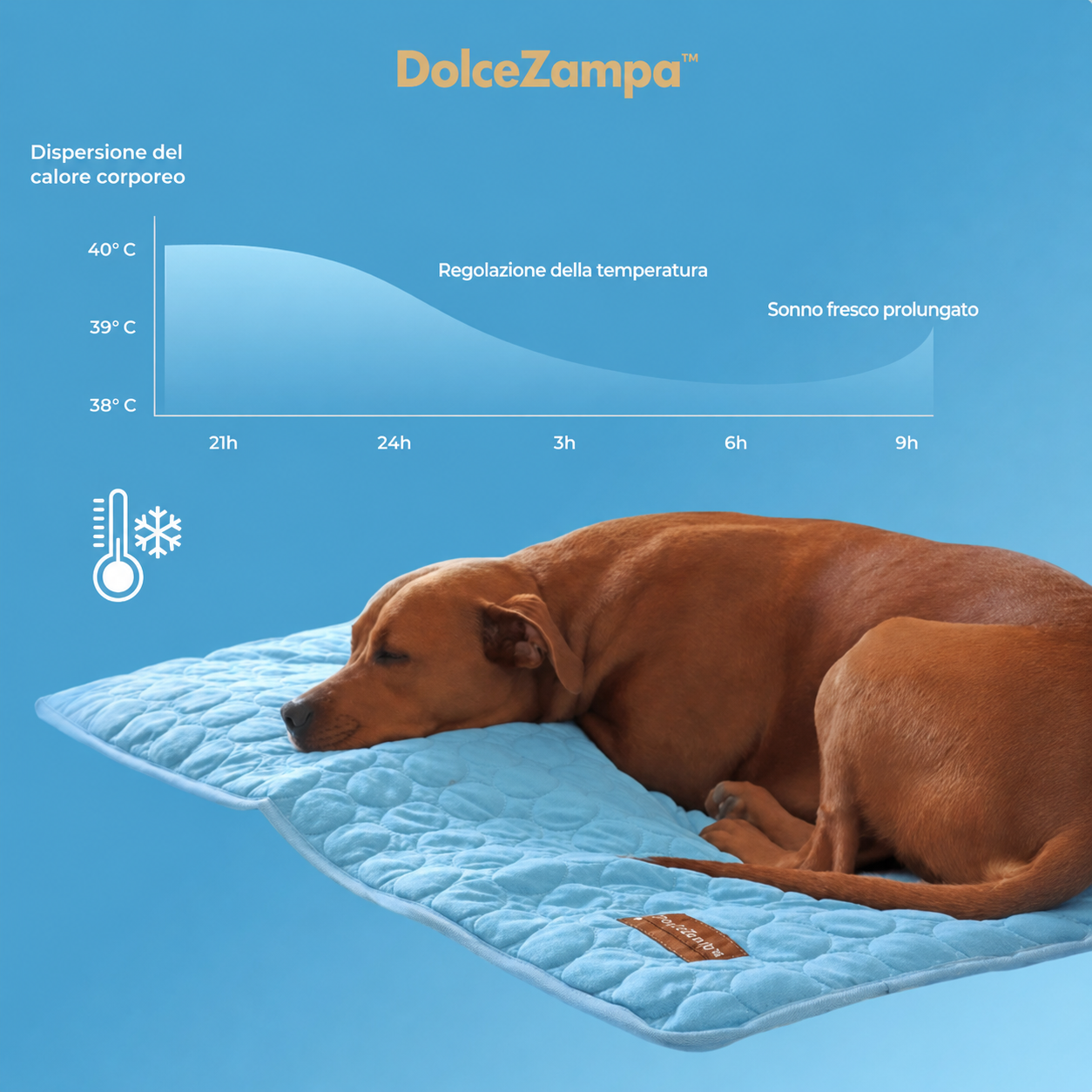 DolceZampa™