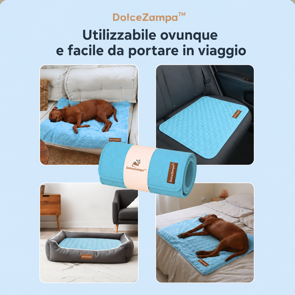 DolceZampa™ Bundle