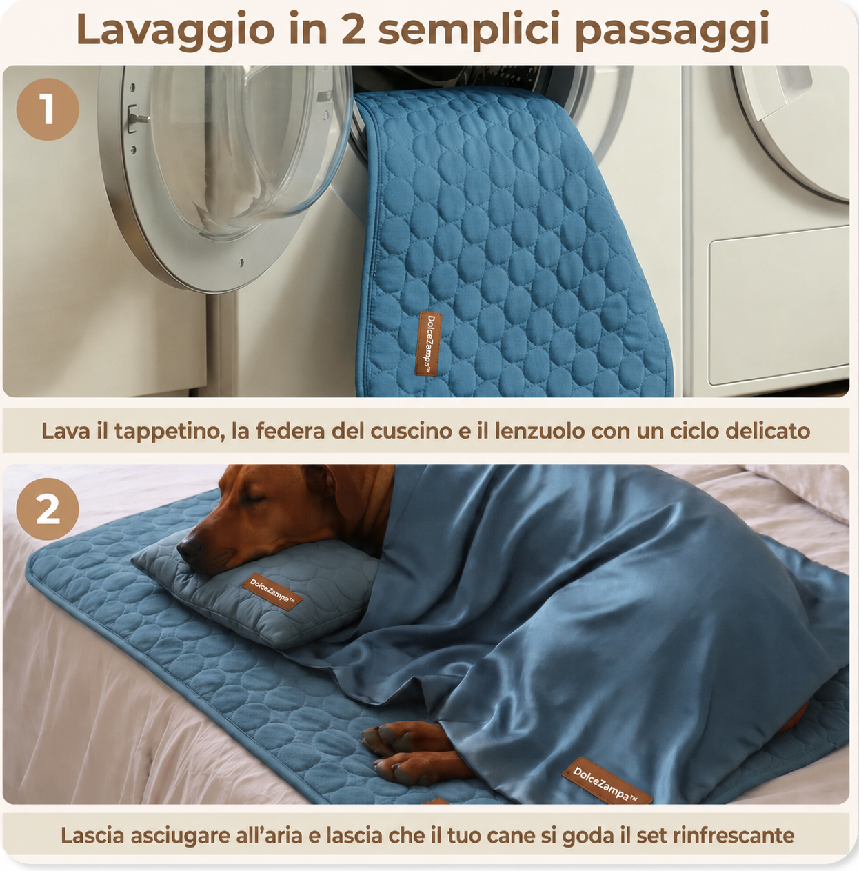 DolceZampa™ Bundle