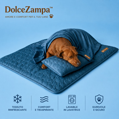 DolceZampa™ Bundle