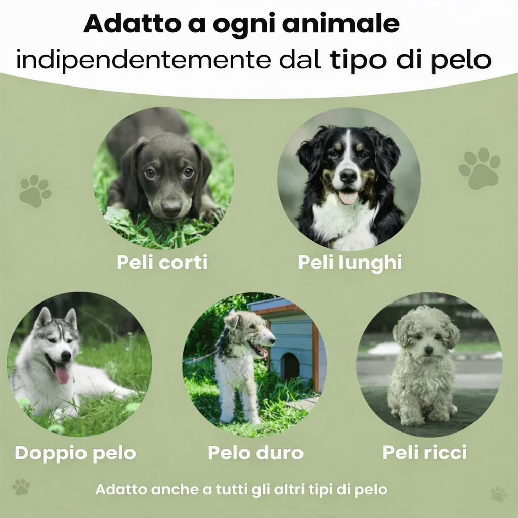 La spazzola magica per il tuo cane